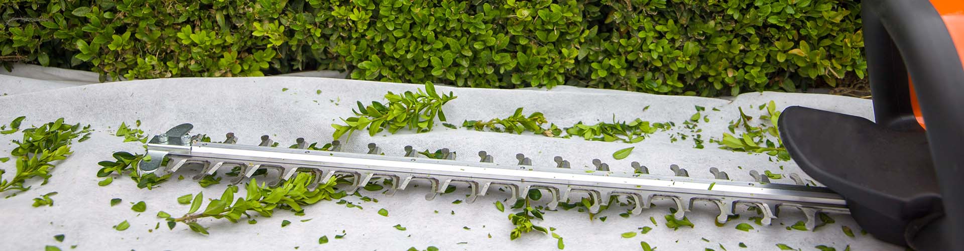 Tuinonderhoud Kortrijk